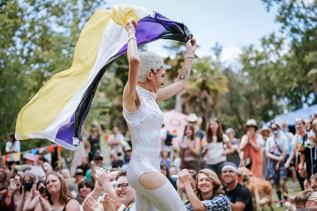 Davis Pride Performance Flag