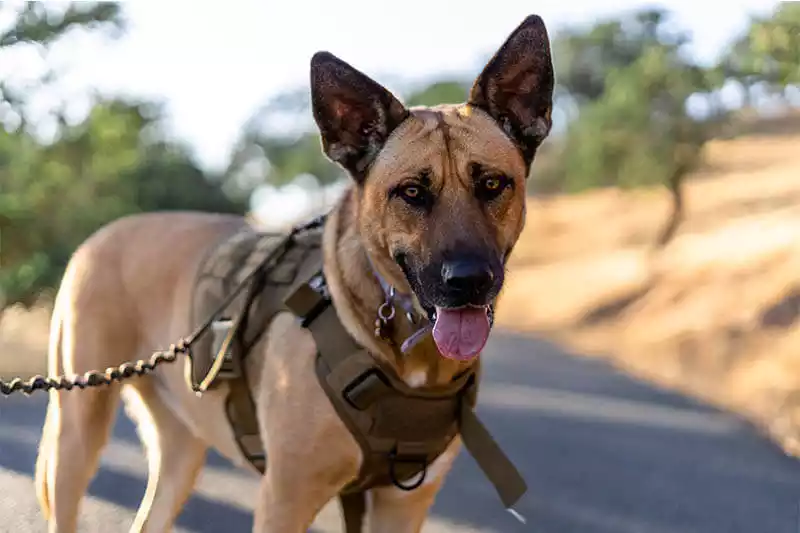 MOOTENS-productions-photography-portfolio-products-event-sty (32)