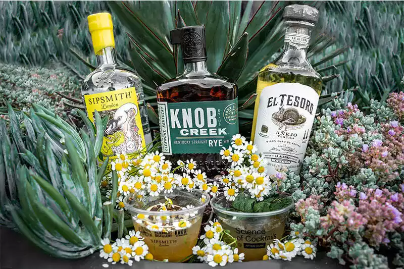 MOOTENS-productions-photography-portfolio-products-events-co (3)