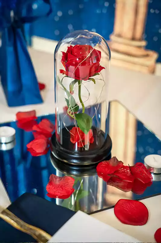 Quinceneara-Summer-Product-Photography-2-MOOTENS-productions